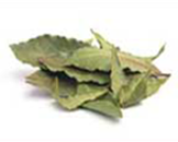 Dried Bay Leaves from 미국 supplied by ABS QUARTERS - Leaf 월계수 잎