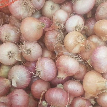 Onion from 미얀마 [버마] supplied by K2O Co.,Ltd - Raw 신선 양파