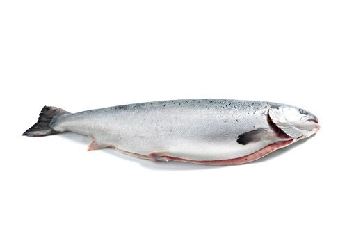 Salmon from Norway supplied by KalaValtanen - Boneless (=Without Bone=Deboned) Salmon