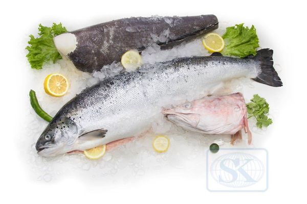 Frozen Salmon from Malaysia supplied by SK FROZEN FOOD IMPORT AND EXPORT SDN BHD - Fillet Salmon