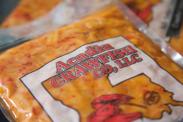 Crawfish from 미국 supplied by Acadia Crawfish Co, LLC - 레드 스왐프 가재 가재