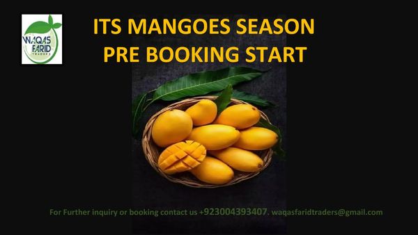 MANGO from Pakistan supplied by Waqas Farid Traders - Sindhri Fresh Mango