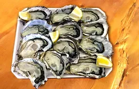 Oyster Halfshell from New Zealand supplied by Matakana Oysters Limited - Tray Fresh Oyster