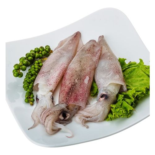 Squid from 영국 supplied by Premier Seafoods Ltd - Whole 냉동 오징어