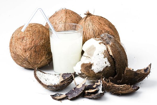 Coconut Milk from 남아프리카공화국 supplied by NEO Trading - 코코넛밀크