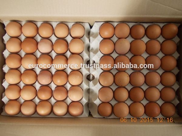 Fresh brown chicken eggs / Ukraine chicken eggs / Fresh brown eggs from Ukraine supplied by Euro-Commerce LTD - Fresh Chicken Egg