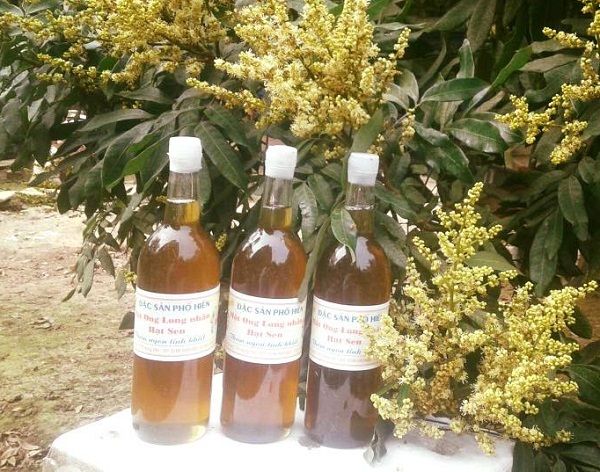 Honey from Vietnam supplied by Ngan Tam Longan - Liquid Honey