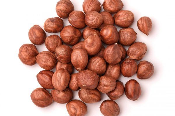 Hazelnut from 튀르키예 supplied by Urganci Gida - 갈색 생 헤이즐넛