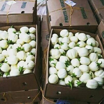 GARDEN EGGS from Uganda supplied by EES ORGANIC FOOD LIMITED - Excellent Quality Eggplant
