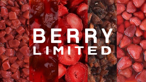 IQF Strawberry from China supplied by Berry Ltd - Grade B Frozen Strawberry