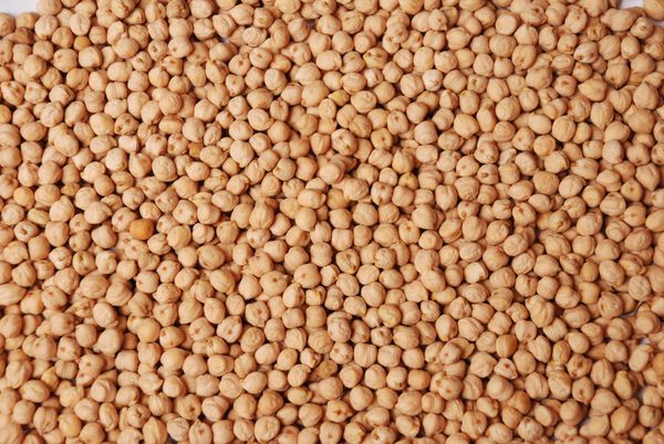 Chickpea from 싱가포르 supplied by Valency International - SG - Kabuli 말린 병아리콩