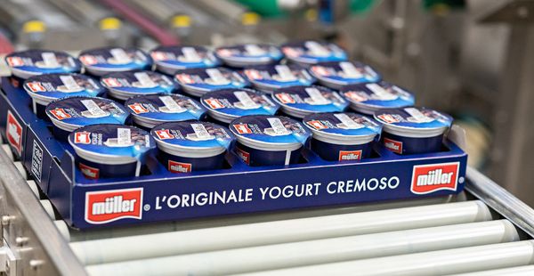 Yoghurt from United Kingdom supplied by Muller Dairy UK - Cow Yoghurt