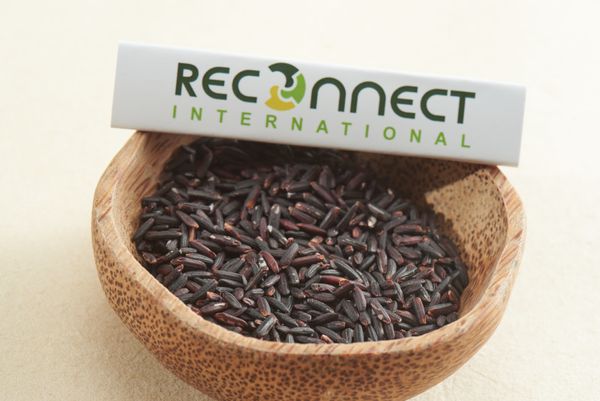 Black Rice Vietnam Brown Rice Top Product Using For Food HALAL BRCGS HACCP ISO 22000 Certificate Custom Packing from 베트남 supplied by Reconnect International Limited Company - As per customer's request 쌀