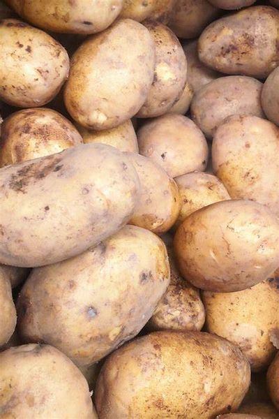 Potato from 독일 supplied by TB Agrar - Red Varieties 신선 일반 감자