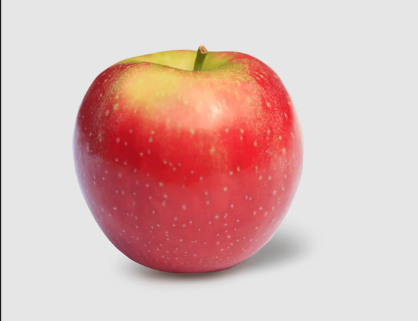 Fresh Organic Apple from Ireland supplied by Clashganny Organic Farm - Organic Fresh Apple