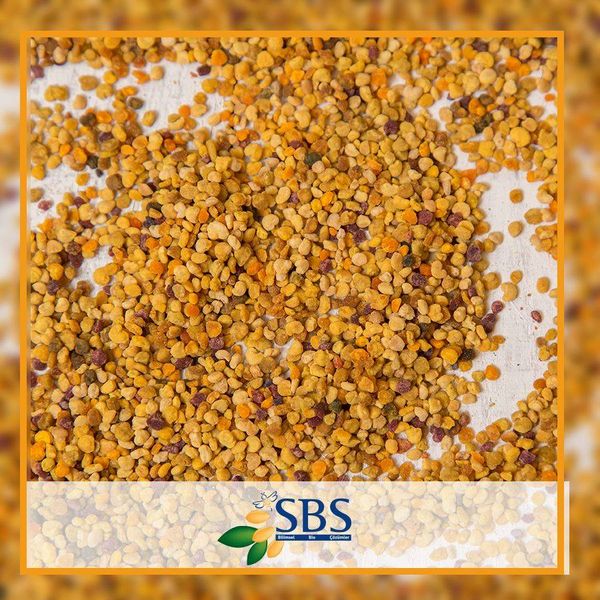 Bee Pollen from 튀르키예 supplied by SBS Scientific Bio Solutions Ind. - Yellow 벌 화분