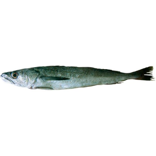 Fresh Hake from 에콰도르 supplied by CARPEFRESMANTA SA - With Bone 냉동 헤이크