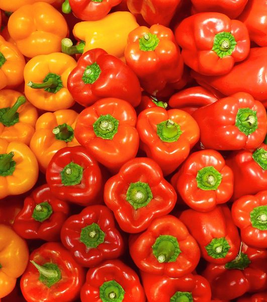 Bell Pepper from United States supplied by Wilson Produce - Green Fresh Bell Pepper