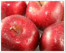 Red Apple from 아르헨티나 supplied by Fruteco S.A. - Red 신선 사과