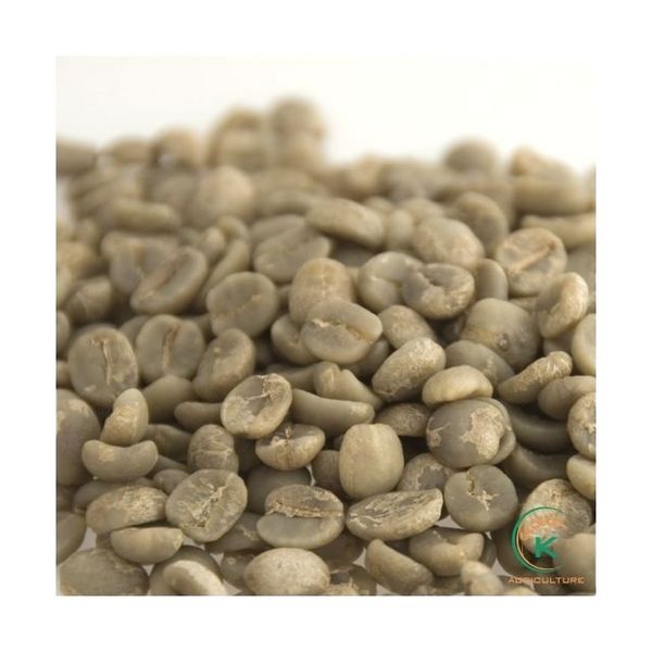 Vietnam Arabica Commercial Green Coffee Beans from 베트남 supplied by K Agriculture - S18 (=Screen 18) 생원두