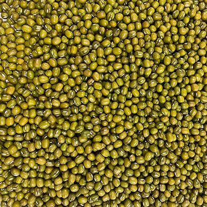 Mung Beans from 호주 supplied by Adams Australia - Dried (=Dehydrated) 말린 녹두