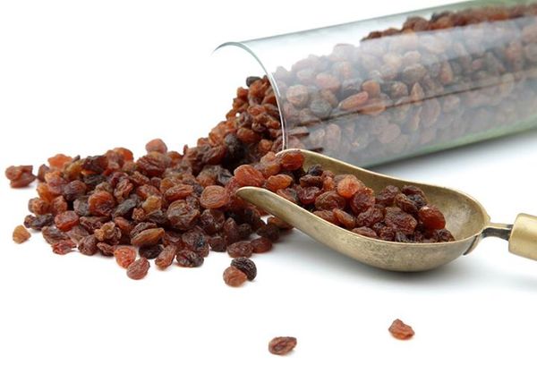Raisins from Iran supplied by Safir Saffron International Trade - Golden Raisins Raisin (Dried Grape)