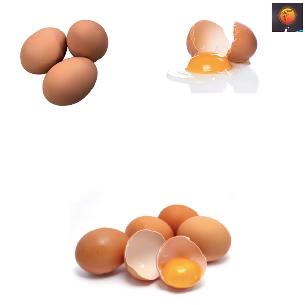 Buy Fresh Table Chicken Eggs from the best producers in Turkey from 튀르키예 supplied by FRESH TRADİNG DANIŞMANLIK VE TİCARET LİMİTED ŞİRKETİ - 다양한 크기 달걀