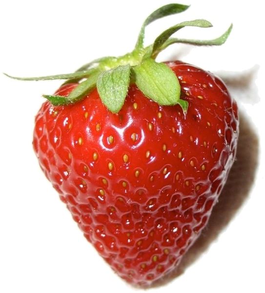 Frozen Strawberries from 멕시코 supplied by Frozen Pulps de Mexico S.A. de C.V. - Drums 신선 딸기