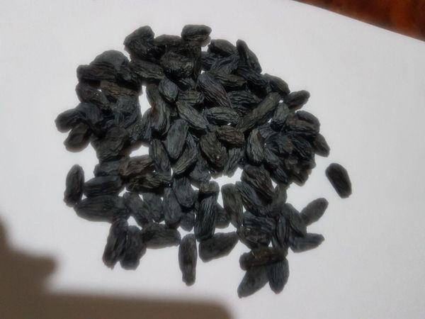 Raisin from 우즈베키스탄 supplied by Natural Dry Fruits - Kashmiri 건포도