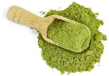 Moringa from Colombia supplied by The Colombian Factory - Dried Moringa