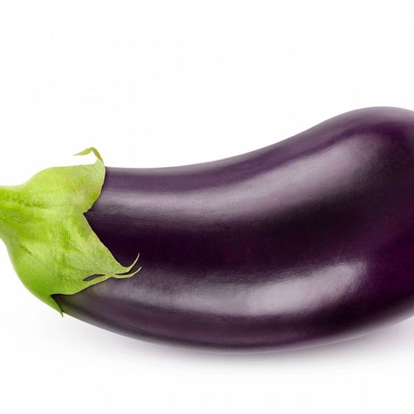 Eggplants from Netherlands supplied by Haluco - Oval Eggplant