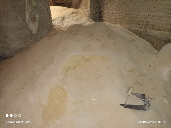 Rice bran for animal feed from 인도네시아 supplied by PT. Pusaka Dominari Global - High Quality 쌀겨