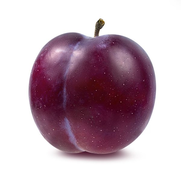 Plums from 남아프리카공화국 supplied by Icon Fruit - Whole 신선 자두