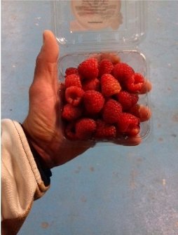 Fresh Rasperry from 멕시코 supplied by MexWorld Consulting - Red 신선 라즈베리