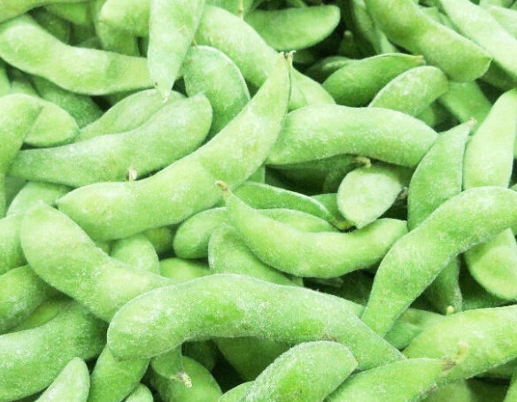 IQF Green Soybean (Edamame) from 베트남 supplied by An Giang Fruit-Vegetables & Foodstuff Joint Stock Company (ANTESCO) - Frozen - IQF 대두