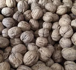 Walnut from United States supplied by CALIFORNIA VALLEY NUT COMPANY - PP Bags (25kg) Raw Walnut