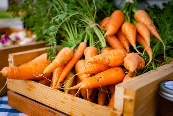 Fresh Carrot from Pakistan supplied by Ansari Enterprises - Whole Fresh Carrot