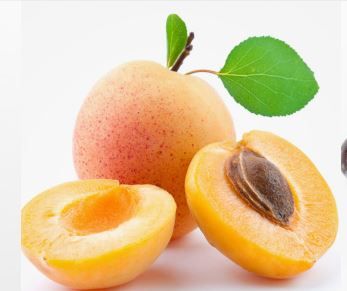Apricot from United States supplied by RemBrandt Masterpiece Fruit - Orange Fresh Apricot