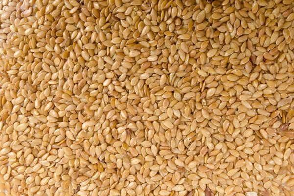 Sesame Seeds from 에티오피아 supplied by Tadesse Desta Business Group - White 참깨