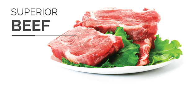 Beef from 남아프리카공화국 supplied by Excellent Meat International - Sliced 신선 미절단 소고기