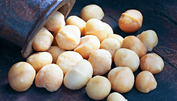 Macadamia Nuts from Kenya supplied by Equatorial Nut Processors Ltd - Whole Kernel Macadamia Kernel