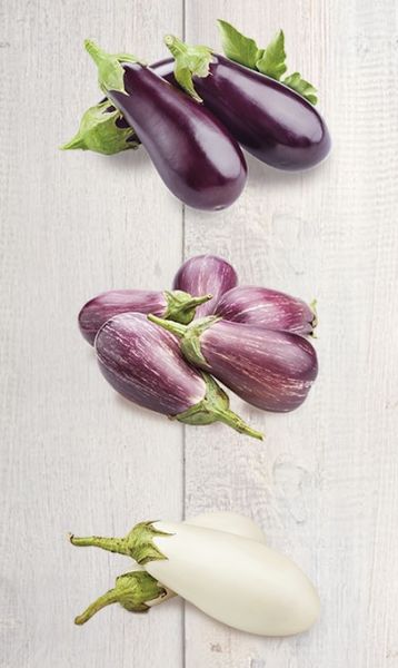 Organic Eggplant from 미국 supplied by WHOLESUM FAMILY FARMS INC - Purple (=Violet) 가지
