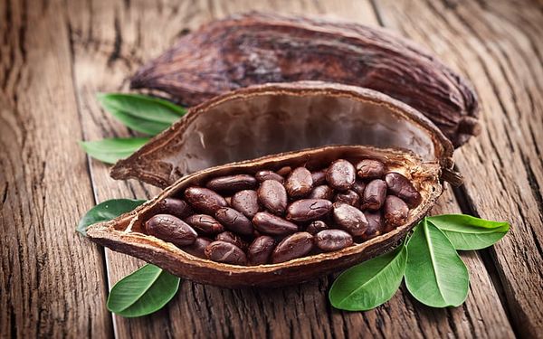 Cocoa Bean from Colombia supplied by Heaven´s Fruits - Cocoa Bean