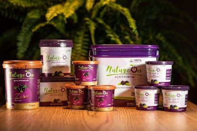 ACAI SORBET NATURAL WITH GUARANA from 브라질 supplied by VZ INDUSTRIA DE ALIMENTOS LTDA - 아이스크림