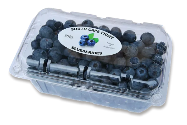 Fresh Blueberries from 남아프리카공화국 supplied by South Cape Fruit - Whole 신선 블루베리