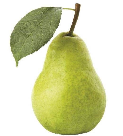 Fresh Whole Pear from Spain supplied by FRUTAS Y VERDURAS CASTEL-RUIZ - Lemon Pear Fresh Pear