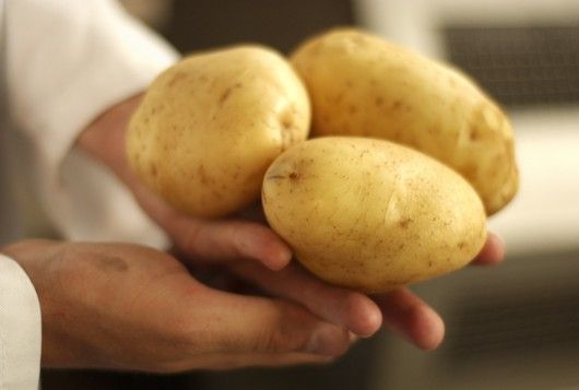 Potato from 벨기에 supplied by Remo Fresh - 프렌치 프라이 감자 가공품