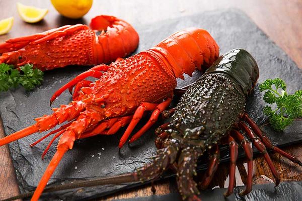 Eastern Rock Lobster from Australia supplied by JD's Seafood Export Contractors Pty Ltd - Frozen - Cooked Frozen Frozen Rock Lobster