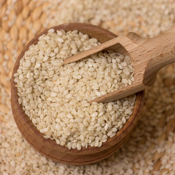 Sesame Seeds from 파키스탄 supplied by Shan Impex - White 참깨