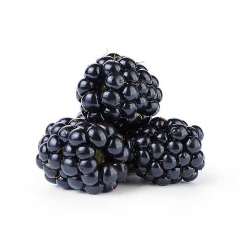 Blackberry from 미국 supplied by Courchesne Larose Ltd. - Black 신선 블랙베리